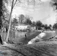 Fishing, River Wharfe, Boston Spa